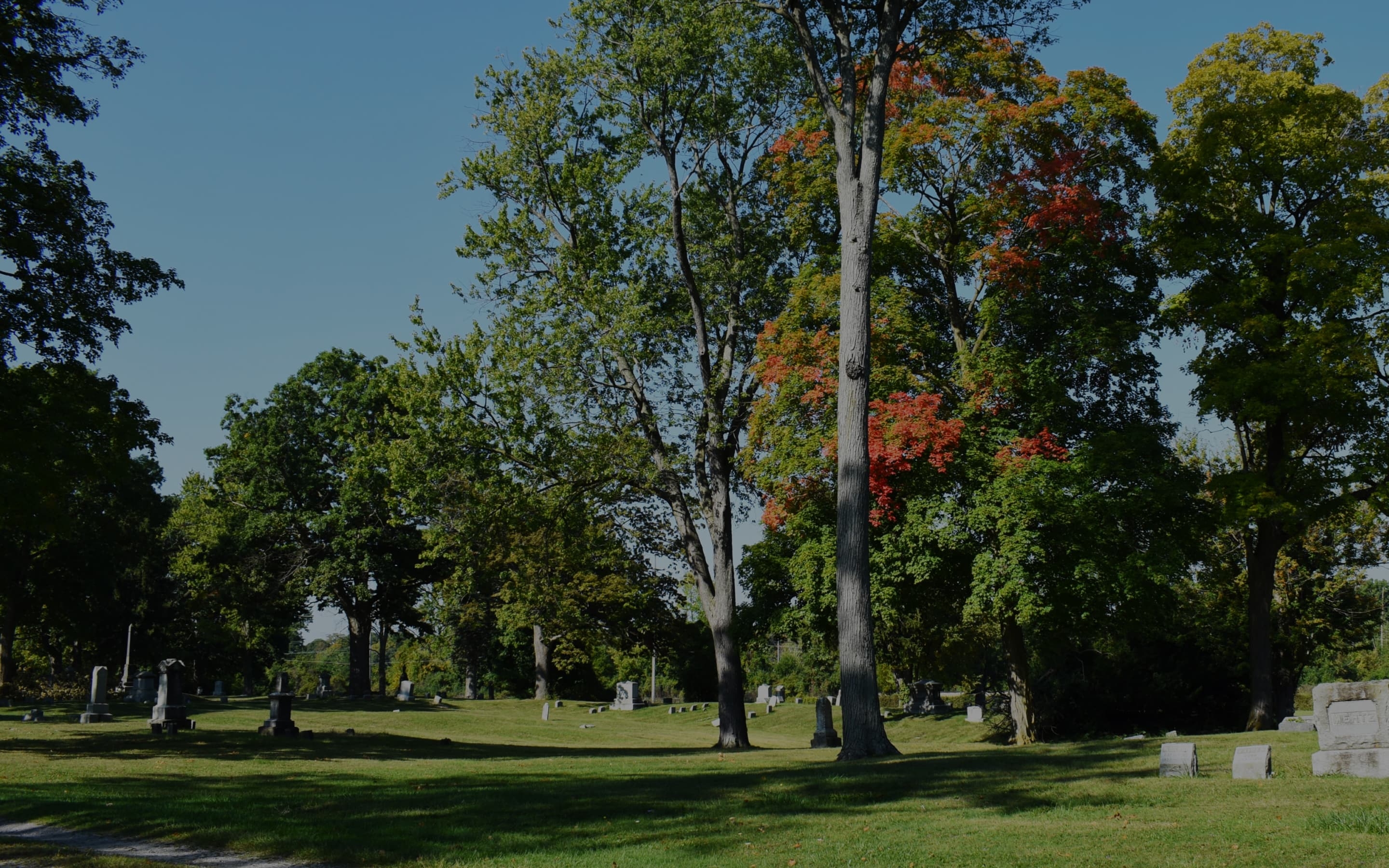Photo with a view of City of Saginaw